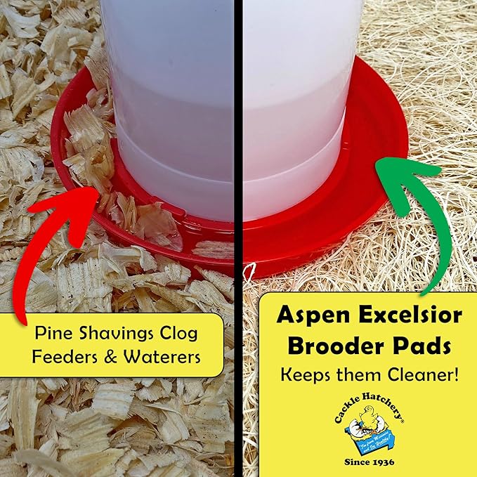 Cackle Hatchery Excelsior Brooder Pads for Chicks (25 Pack) - 9"x12" Aspen Excelsior Pads for Lining Chick Brooders