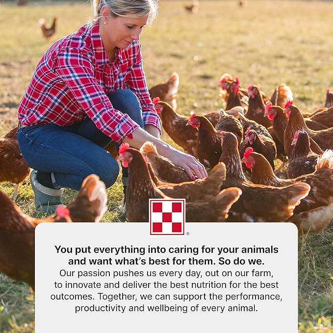 Purina | Layena Pearls Poultry Feed (25 LB)