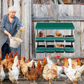 8 Hole Chicken Nesting Box, Roll Away Nest Boxes with Lid Cover to Protect Eggs, Poultry Nest Boxes for Chickens Laying Egg, Green