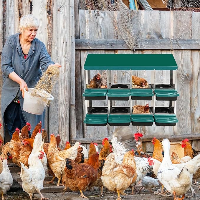 8 Hole Chicken Nesting Box, Roll Away Nest Boxes with Lid Cover to Protect Eggs, Poultry Nest Boxes for Chickens Laying Egg, Green