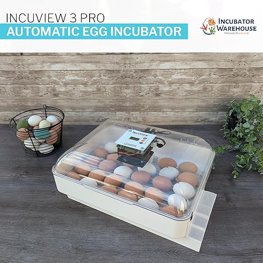 IncuView 3 Pro All-in-One Automatic Egg Incubator for Chicken Eggs (Universal)| Hatching Eggs | Automatic Egg Turner | Chick, Quail, Goose, Turkey