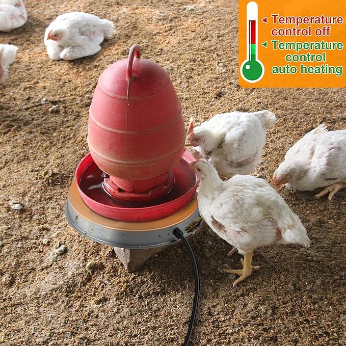 Poultry Chicken Water Heater: Chicken Water Heater Base for Winter, for Plastic/Metal Poultry Watere Under 6 Gallons, Heated Waterer for Chickens 125W