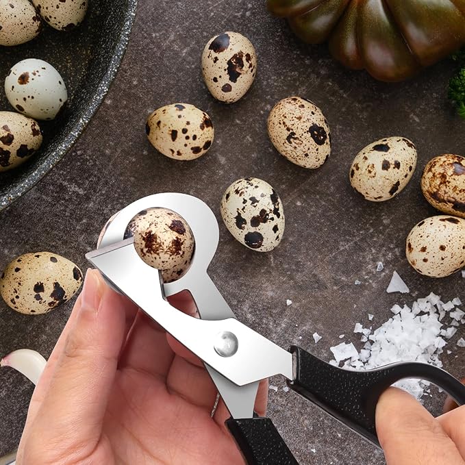 Adecco LLC Pigeon Quail Egg Cutter Scissors Stainless Steel Blades Bird Cutter 2 Pack (Quail Egg Scissor)