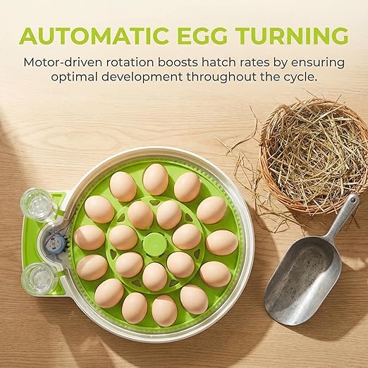 18 Eggs Professional Egg Incubator - Automatic Turning, Precise Temperature & Humidity Control, Egg Candling, 360 - Degree View, Ideal for Farms and Laboratories