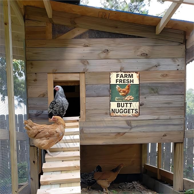 Funny Chicken Coop Sign Farm Fresh Butt Nuggets Tin Sign Vintage Metal Sign for Farm Yard Wall Decor Tin Sign 8x12 Inch