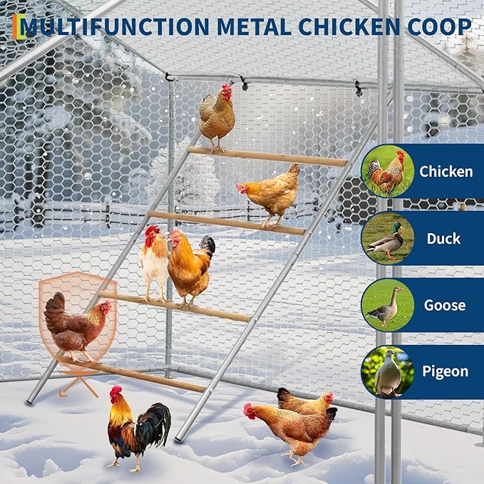 55'' l x 39'' w Roosting Bars for Chickens in Coop, Metal Frame Chicken Roosting Bars, Easy to Assemble & Clean, Chicken Ladder for Coop, Backyard, Farm