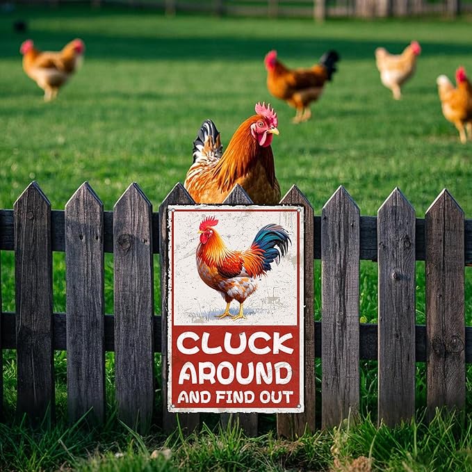 Cluck Around And Find Out Humorous Chicken Metal Tin Sign 12x8 Inch Farm Warning Poster Chicken Farm Tin Sign Home Kitchen Garden Cafe Office Shop Are Wall Decor