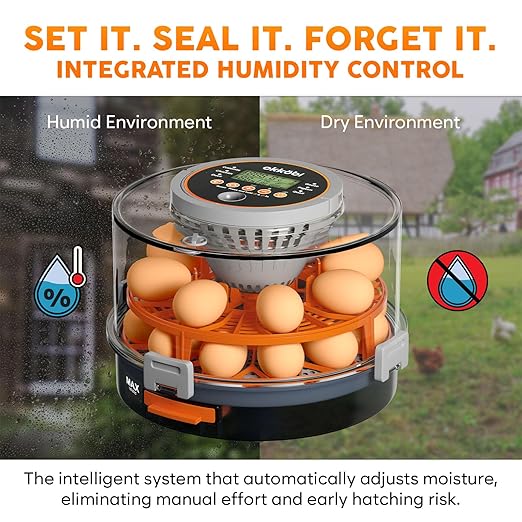 Egg Incubator with Automatic Egg Turning and Humidity Control – 12 or 20 Egg Incubator for Hatching Eggs – incubadora de huevos de gallina – Smart Temp Adjust – Candling Lamp