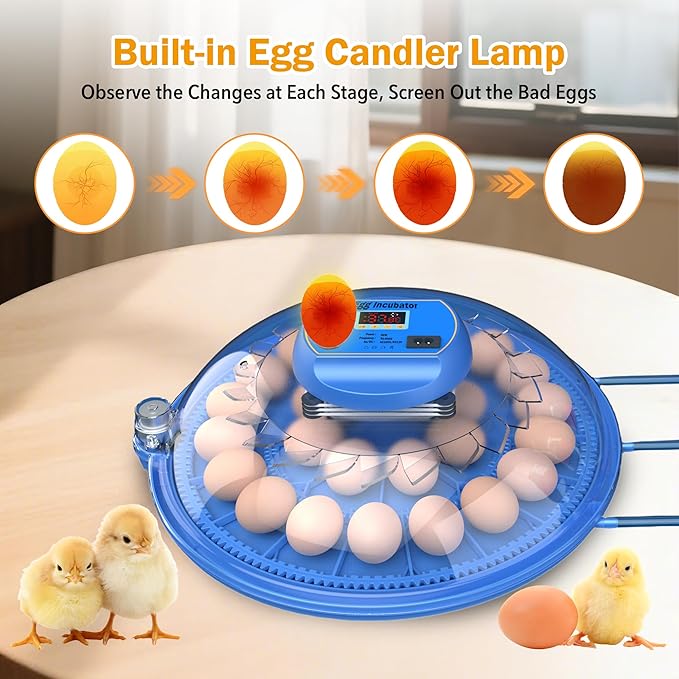 Egg Incubator with Automatic Egg Turning and Humidity Control, 26 Eggs Incubators for Hatching Eggs Chicken Quail Ducks Goose Parrot for Home Lab Farm Classroom