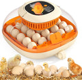 Chickcozy 25 Egg Incubator, Automatic Egg Turner with Thermometer Seat and Humidity Control, Egg Candler, 360° View with Clear Window, Incubators for Hatching Chicks (Sunlit Orange)