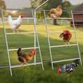 Chicken Perch for Coop Roosting Bars Farm Chicken Toys Roost Ladder for Backyard Poultry 2 Pack (58.2" L x 32" W)
