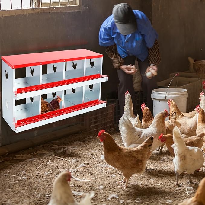Confote Two-Tier Chicken Nesting Box, 8 Compartment Egg Laying Box, Galvanized Steel Laying Boxes with Lid Cover