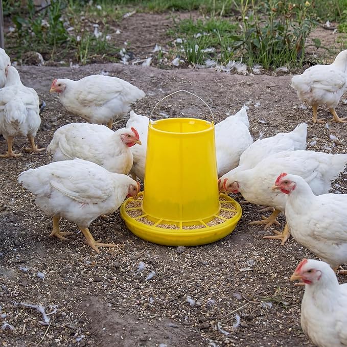 Shellwei 8 Pack 17.6 lb Hanging Chicken Feeders Large Chick Feeder Chicken Food Dispenser for Large Automatic Plastic Poultry Feed Dispensers for Ducks Geese Turkeys Quail