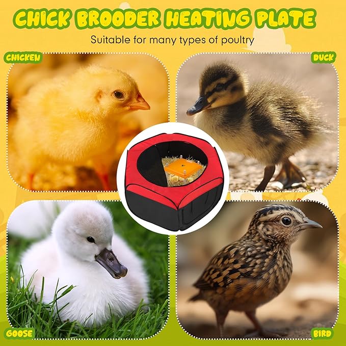 Barydat Chicken Brooder Box for Chick Kit 12" x 12" Chick Brooder Heating Plate Chicken Brooder Chicken Coop Heater Chicken Warmer with Adjustable Height for Chicks or Ducklings