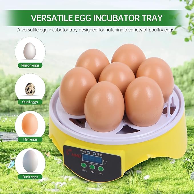 7-Egg Mini Egg Incubator with 360° View, Educational Hatching Kit for Kids, Classrooms & Families, Automatic Temperature Control & Manual Humidity Control, Suitable for Chicken, Duck & Quail Eggs