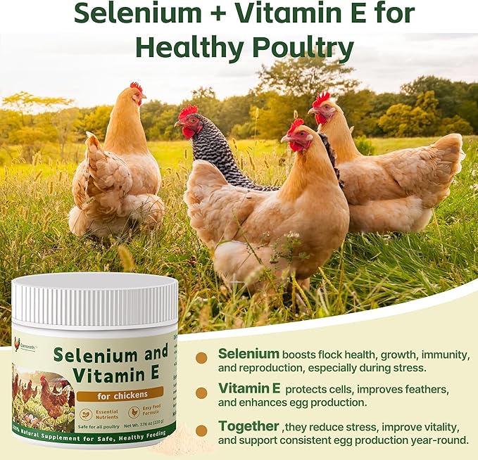 Selenium and Vitamin E Powder for Chickens – Boost Immunity, Muscle Support & Reproductive Health, Selenium for Chickens to Prevent Wry Neck & Improve Egg Production, Chicken Vitamins for All Poultry