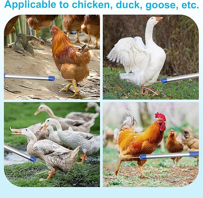 Chicken Catching Net ,Chicken Catcher Leg Hook , Extendable from 33" to 75.5" Made of Stainless Steel TubeSuitable for Catching Small Duck,Goose,Bird, Skunk Bat and Fishnet etc,（15.3 x 23.2 Inch Net）