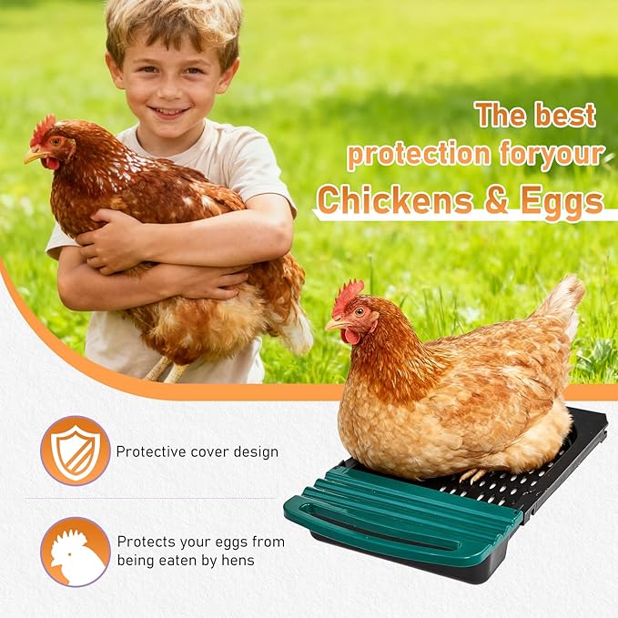 Outvita Chicken Nesting Boxes, 8 Compartments Metal Nesting Boxes for Chickens with Metal Legs, Wall Mount for Laying Eggs with Swing Perch and Roll Away Egg Collection for Chicken Coop, Green