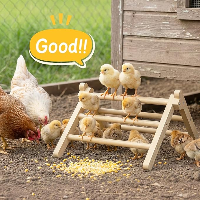 Innoland Chick Perch Foldable, Chick Toys Stable & No Assemble, Baby Chick Toys for Stand Training, 12.44" ×11.02" ×7.44" Chick Roosting Perch for Chicks Brooder | Coop (L)