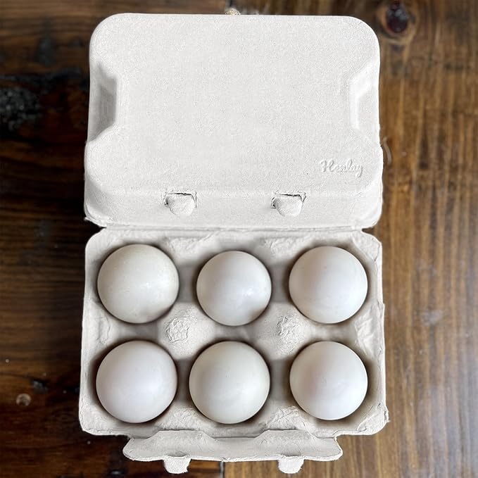 Henlay White Half Dozen Duck Egg Cartons – Holds 6 Jumbo Eggs – Blank Top for Custom Labels – Eco-Friendly Paper Pulp – Ideal for Farm Fresh or Backyard Eggs - 20 Pack