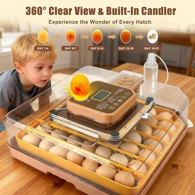 Nest IV - 48 Egg Incubator for Breeders, Fully Automated, Accurate Humidity & Temp Control, Chick Separator, Flexible Egg Spacing, Custom Incubation Days, Auto Turning & Auto Stop, Easy Monitoring