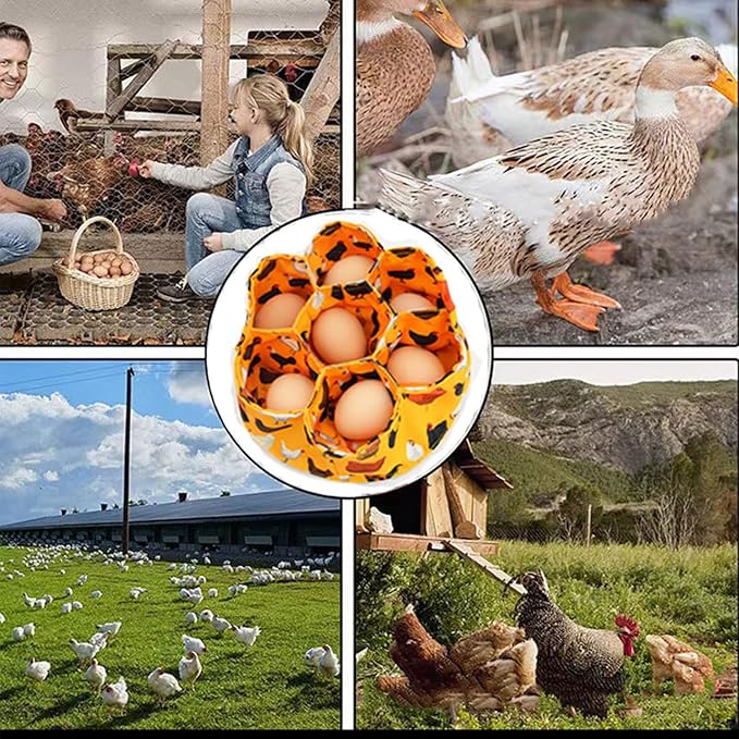 2 Packs Large Egg Collecting & Gathering Basket/Bag (with 7 Pouches) - Fresh, Durable Canvas Apron Egg Holder, Collector & Container for Duck, Chicken, Goose Collection (C)