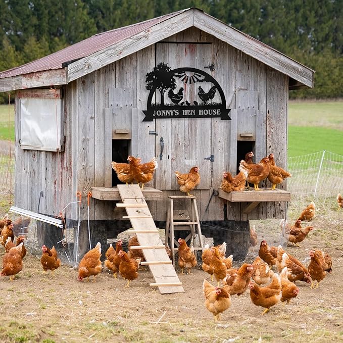 Personalized Chicken Coop Signs, Metal Funny Farm Decor, Chicken Coop Accessories, Metal Outdoor Wall Art, Custom Hen House Sign, Rustic Farmhouse Wall Decor for Farm Yard Garden Color05