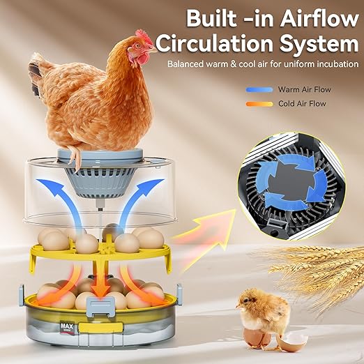 Egg Incubator for Hatching Eggs – 20-Egg Capacity with Automatic Egg Turner, Temperature & Humidity Control, LED Egg Candler, 360° Viewing for Chicken, Duck, Quail & Goose Parrot & Pigeon