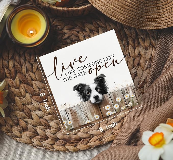 Border Collie Signs - Farm Cottagecore Animal Office Kitchen Bedroom Decor,Rustic Farmhouse Live like Someone Left the Gate Open Home Decor Wooden Signs,Border Collie Gifts for Women,8x8