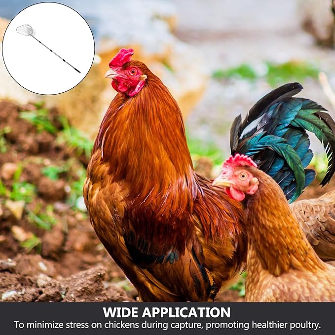 BESPORTBLE Farm Animal Catcher: Adjustable Chicken Catching Nets Portable Stainless Steel Net with Handles for Chicken Coop Poultry Farmers and Fishers