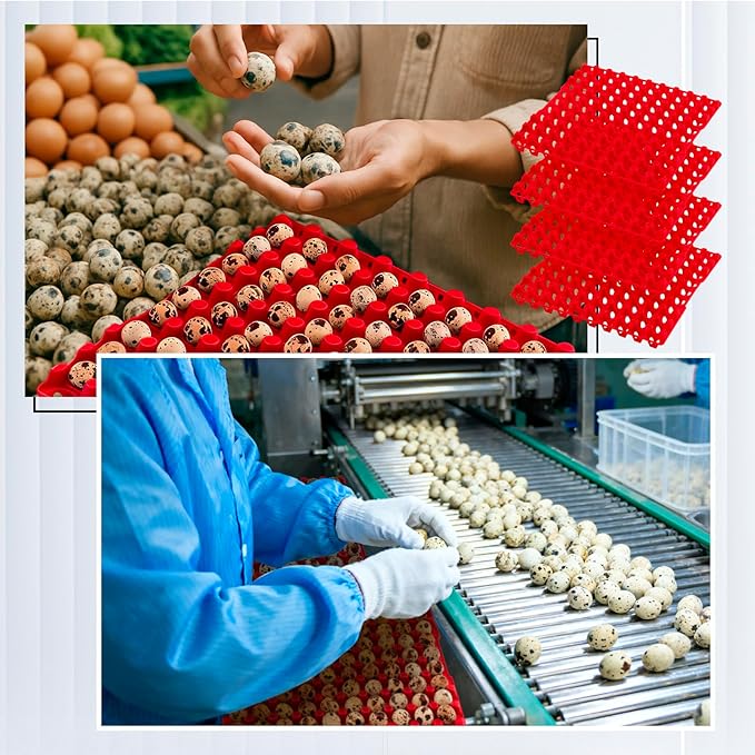 10 Pcs 90 Egg Plastic Trays Quail Egg Flats Holder for Quail Pigeon Dove Bird Flat Carton (Red)