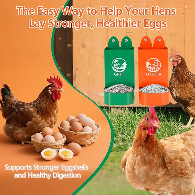 US Patent Pending 2 Pack Chicken Oyster Shell and Grit Feeder for Hens – Heavy-Duty Metal Chicken Feeder with Rounded Edges – Chicken Coop Accessories Improve Eggshell Quality and Hen Health
