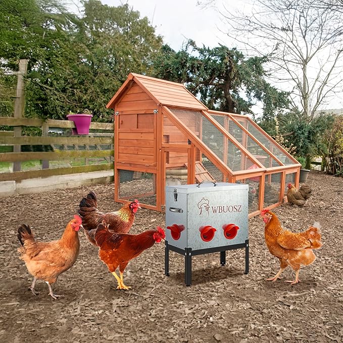 Automatic Chicken Feeder Box 40 lbs 6 Ports Large Capacity No Waste Galvanized Metal Poultry Feeder with Locking Lid and Legs for Hen Coop