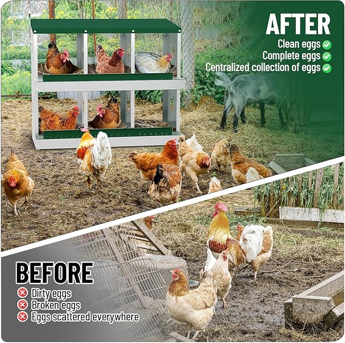 Chicken Nesting Box, Heavy-Duty Metal Chickens Laying Boxes with 6 Compartments, Large Vented Holes Hens Laying Box, Chicken Coop with Rollout Egg Collection, Wall Mount - Green