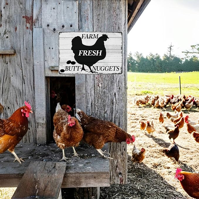 Funny Chicken Coop Signs Chicken Decor Tin Signs Chicken Signs for Home Farm Yard Garden Farmhouse Kitchen Decor (8 X 12) Inch
