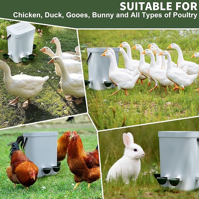 Chicken Water Cups 12 Pack, Automatic Filling Waterer Feeder Bowl, Gravity Poultry Watering System, Chicken Water Dispenser, Chicken Coop Accessories for Hens, Duck, Goose, Turkey (Green)