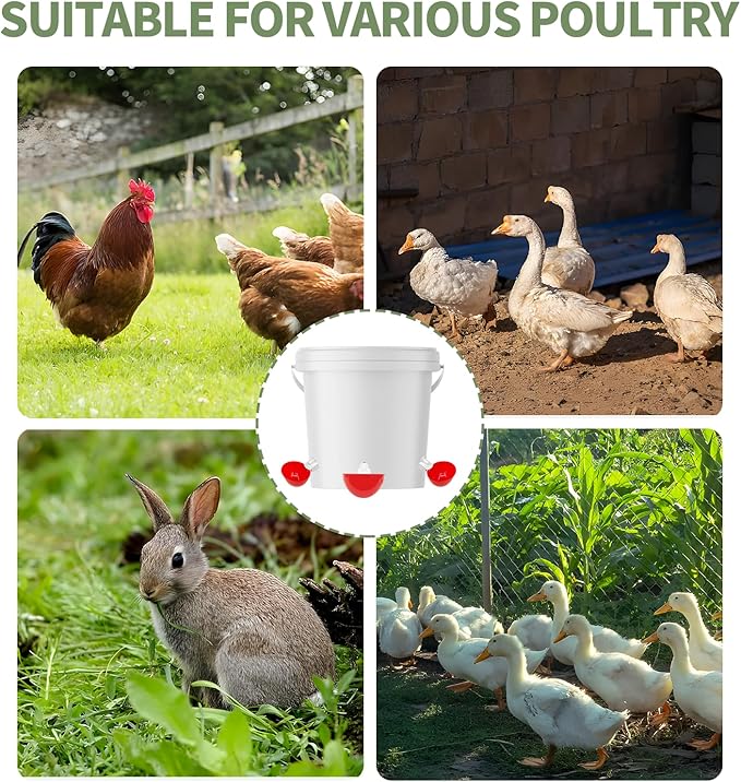 10PCS Chicken Waterer Cups, Red Automatic Poultry Watering Cups, Tee Fittings Poultry Waterer with Mounting Hole Opener,Ideal for Chicken Coop, Ducks, and Backyard Poultry