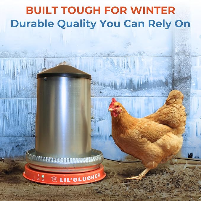 Lil'Clucker Heated Base for Chicken Waterer – Automatic Metal Freeze Proof Heated Chicken Waterer with Heater & LED – Poultry Heated Waterer for Winter (Orange, 15 Inch)