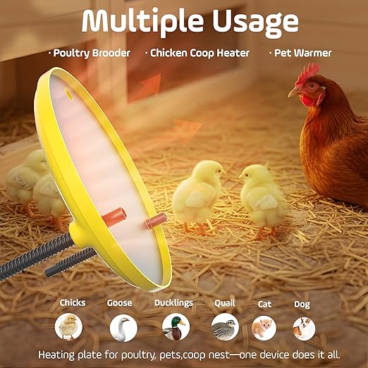 Chick Heat Plate-Chicken brooder, Chicken Coop Heater 35W 12''x12'' with Adjustable Temperature, Safe Heating Plate for Baby Chicks and Poultry Warmth