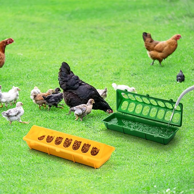 Coloch 6 Pack Flip Top Poultry Feeder, Plastic Chicken Feeder Trough Multi-Hole Poultry Feeding Tray No Mess No Waste Chick Feeding Dispenser for Pigeon, Quails, Duckling Birds, Duck, Chicken