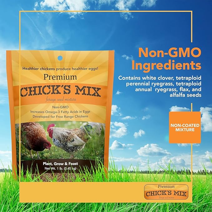 Barenbrug Premium Free Range Chicks Mix Forage Seed Mixture, 1 lb, Pack of 2