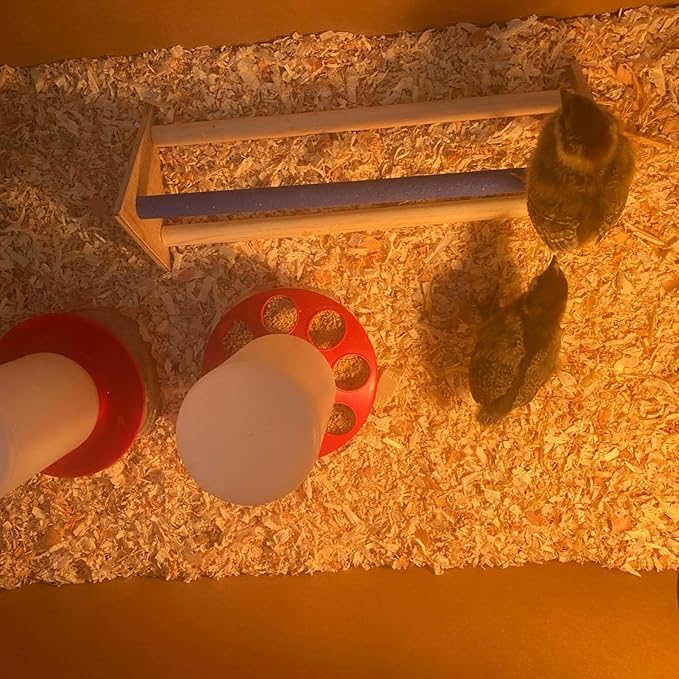 HOZEON 2PCS Wooden Chick Perch Stand, Training Chicken Perches Roosting Bar, Wood Chicken Roosting Bar Perch for Chicks, Parrot, and Birds