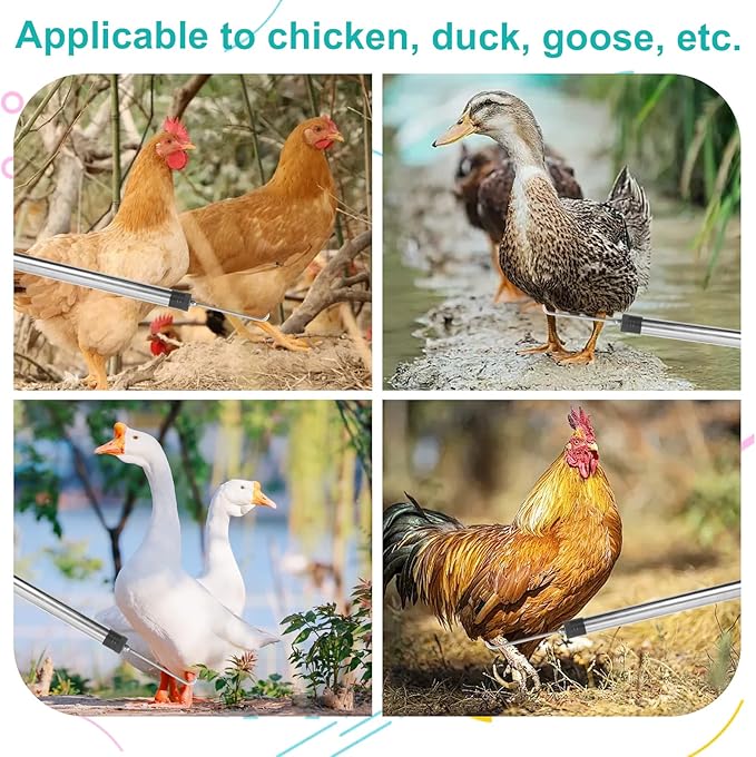 Chicken Catcher, Adjustable from 29 inches to 74 inches Chicken Net,Chicken Leg Hook, Suitable for Catching Outdoor Animals Such as Chickens, Ducks, Fishnet,Geese,Birds (15.3 x 23.2 inch net)