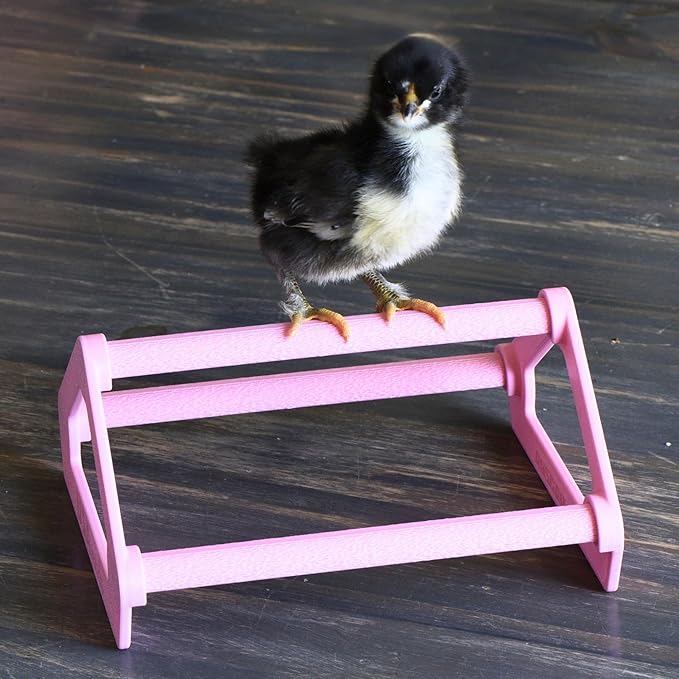 Roosting Perch for Baby Chickens, Chick Brooder Coop Training Toy Accessory, Easy Click Together Assembly, Durable Plastic, Mix and Match Colors, USA Made (Tan, 1 Pack)