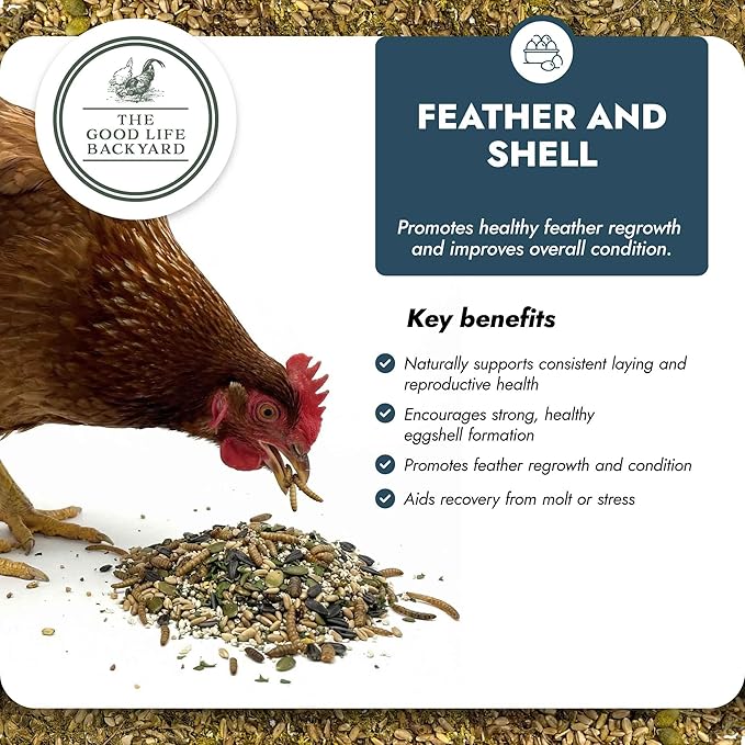 Good Life Backyard Feather and Shell for Chickens – Calcium and Protein Support Blend for Feathers and Eggshells (1 lb Pouch) | Hatching Time