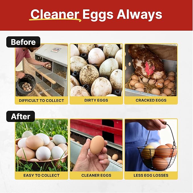 HenGear Nesting Boxes for Chickens, Nest Box with Rollout Egg Collection, Nesting Pads for Cleaner Eggs, Reversible Accessories for Chicken Coop, G90 Galvanized, Made to Last, Medium, Up to 32 Hens