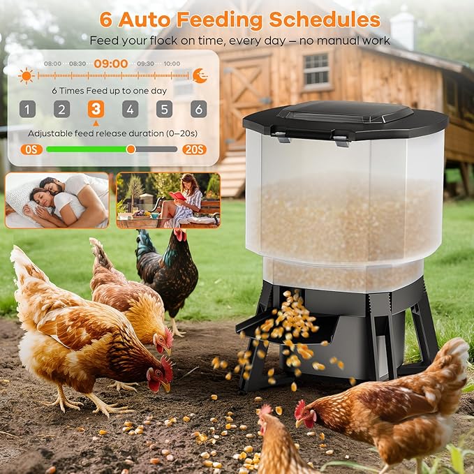 Automatic Chicken Feeder Solar Powered with Timer, 20lbs No-Waste & Rat Proof Poultry Feeder, Programmable Feeding Schedule, Adjustable Throw Distance