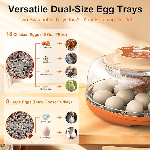 18 Egg Incubator, Automatic Turning with Temperature & Humidity Control, Egg Candler, 360 View with Air Vent, Auto Water Bottle Refill, Chicken Incubator for Hatching Eggs