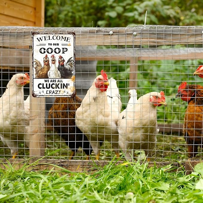 Retro Chicken Coop Tin Sign Welcome to Our Coop Vintage Chicken Hen Rooster Metal Poster Funny Pet Lovers Wall Art Accessories for Farmhouse Garden Plaque Farm Kitchen 12 * 8inch