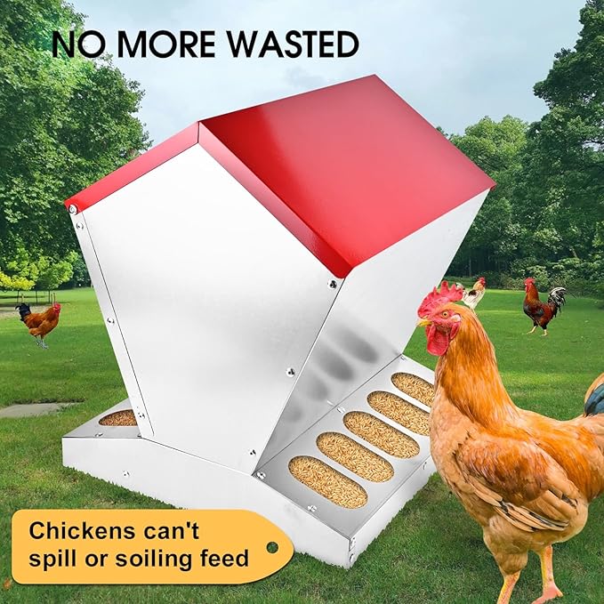 shengyi 11.5-55lbs Galvanized Chicken Feeder - Rat Proof Poultry Feeder with Lid Weatherproof Outdoor Coop Food Dispenser (25lbs 11.75x11.75x15.75in)